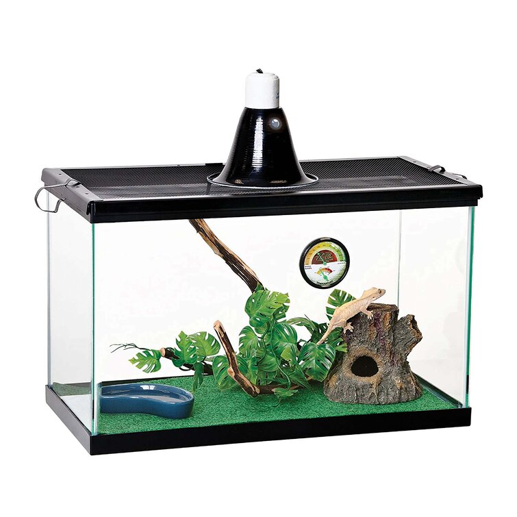 Reptile sales setup kit